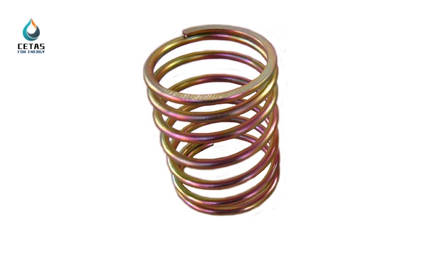 Valve Spring